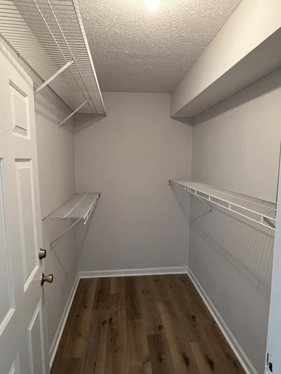 Foto del edificio - 203 Double Eagle Dr