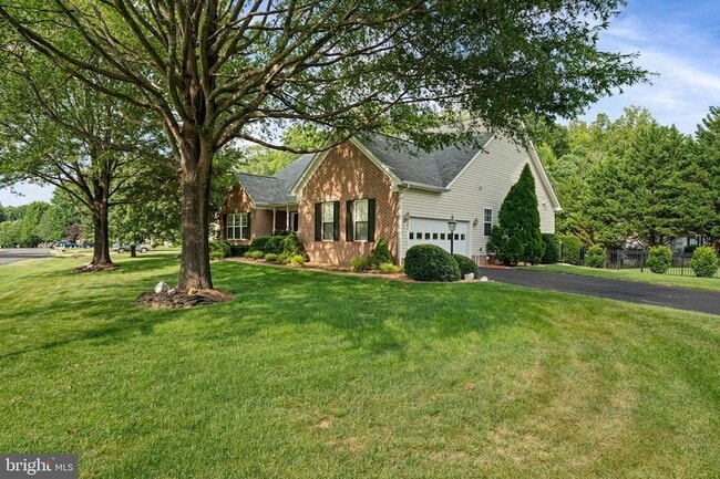Building Photo - 61 Kirby Ln