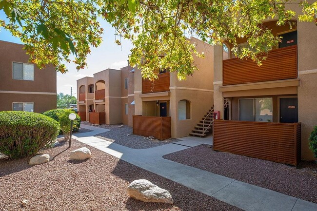 Interior Photo - College Town Tucson