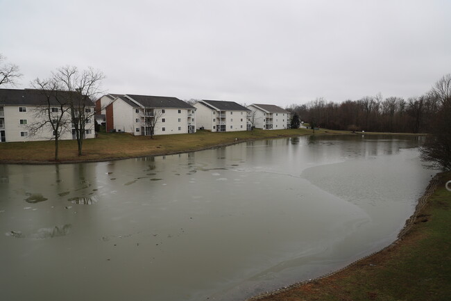 Lake view from Balcony - 10124 Carnation Court