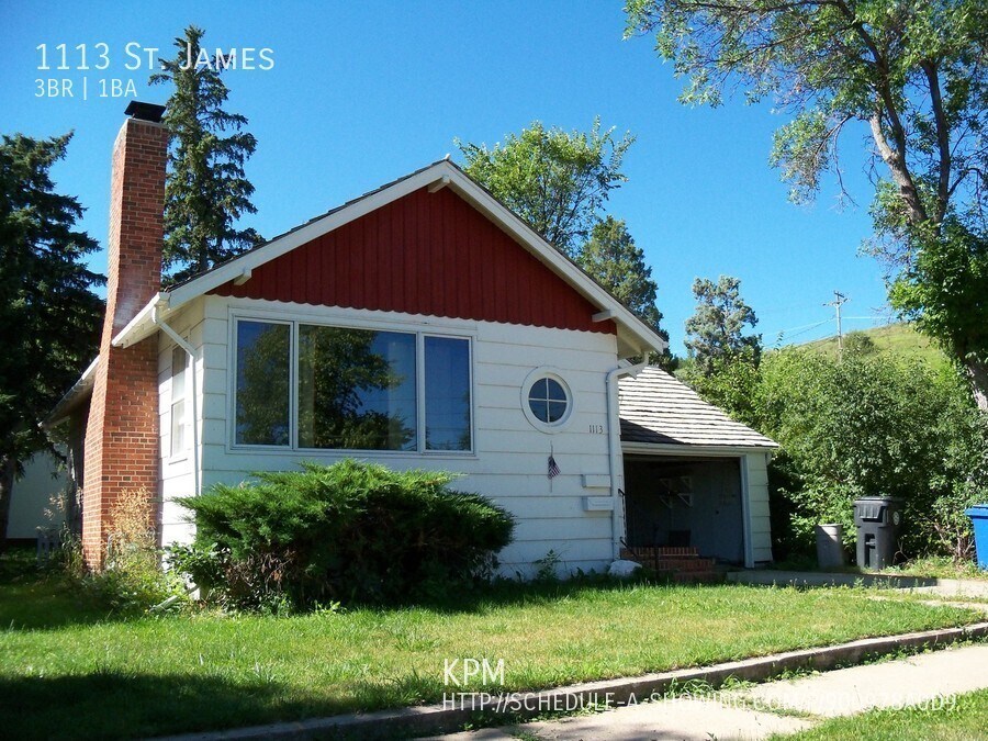 Primary Photo - 1113 St James St