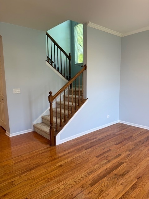 Building Photo - 216 Brompton Ln