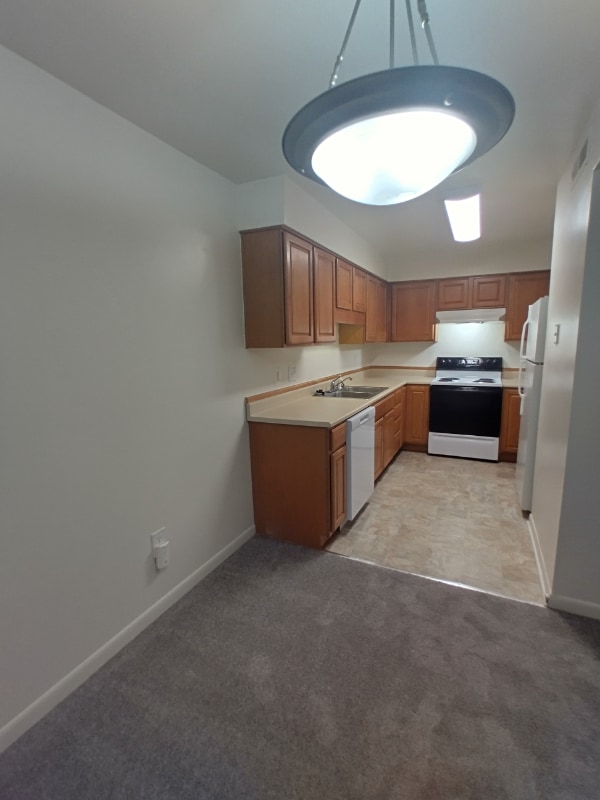 Foto del edificio - 600 Reusens Rd