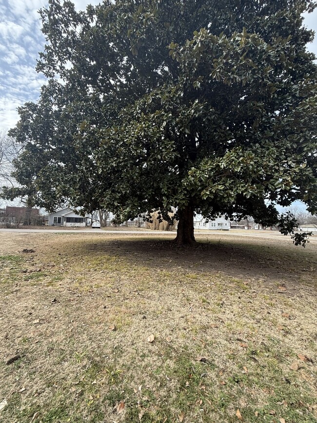 Building Photo - 114 S Ash