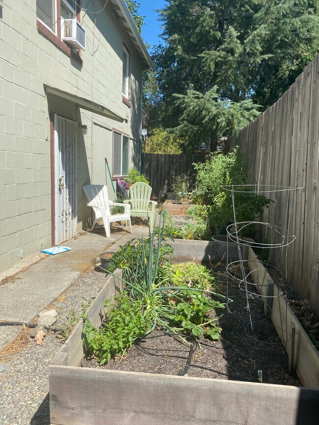 Community garden - 1819 Magnolia Ave