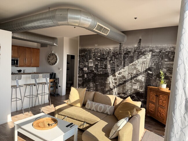 Foto del edificio - 1550 S Blue Island Ave