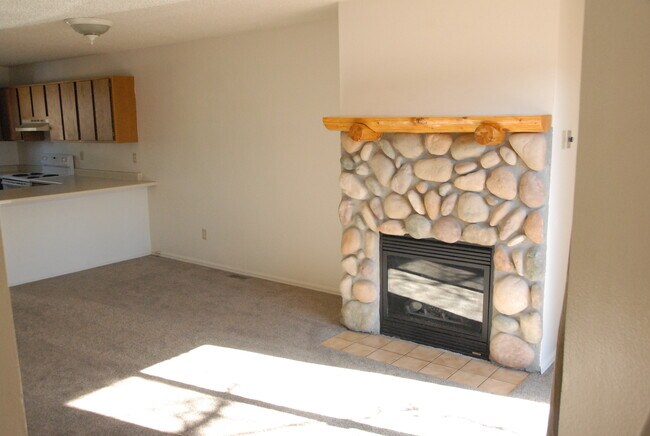 Cultured river rock gas fireplace - 508 Mountain View Pl