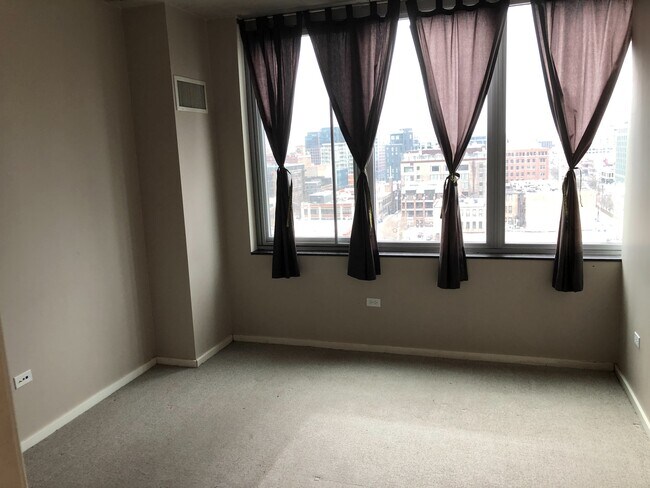 bedroom west windows - 659 W Randolph St