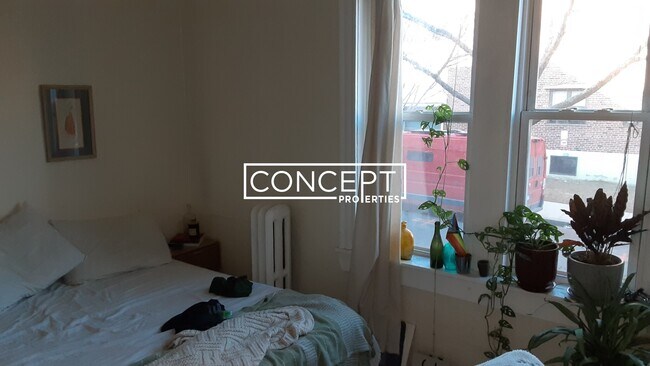 Building Photo - 62 Egmont St