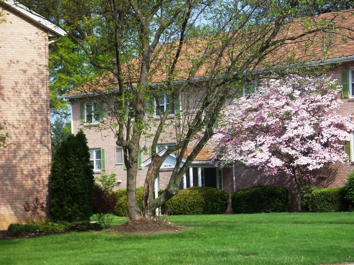 1120 Bank St Unit 14, Bridgeville, PA 15017 Apartments in Bridgeville