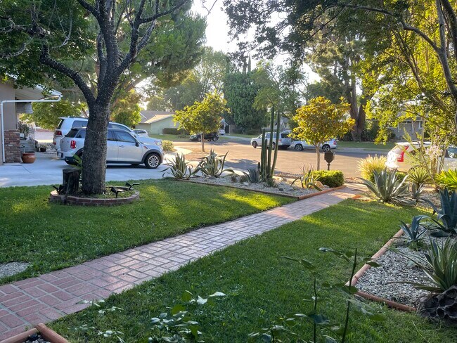 Césped delantero - 16420 Minnehaha St