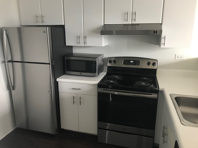 440 E Ohio St Unit 2100, Chicago, IL 60611 - Condo for Rent in Chicago ...