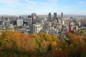 Building Photo - 1250 Av des Pins O