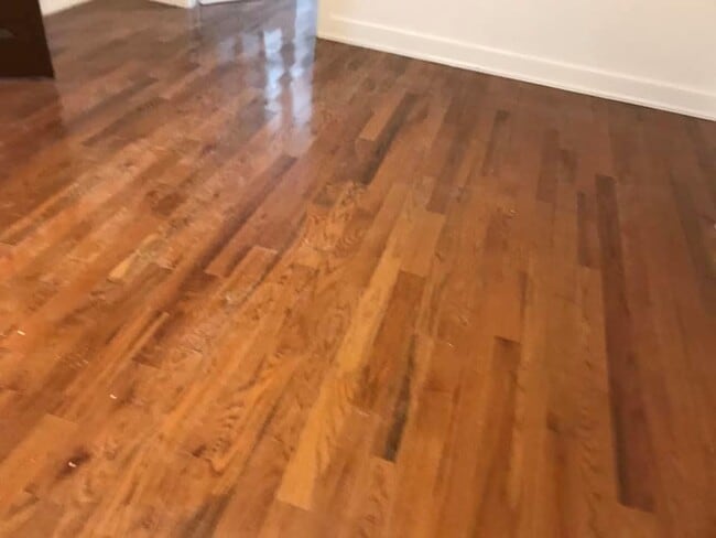 Building Photo - 257 Vernon Ave