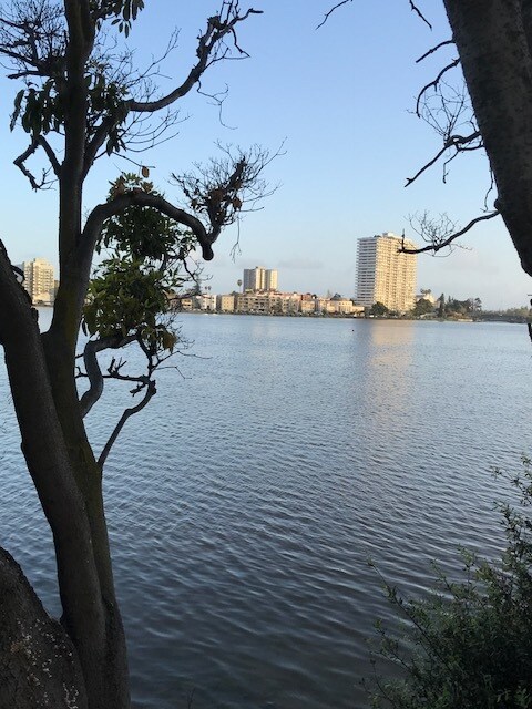 WALK 1 BLOCKS TO LAKE MERRITT - 282 Van Buren Ave