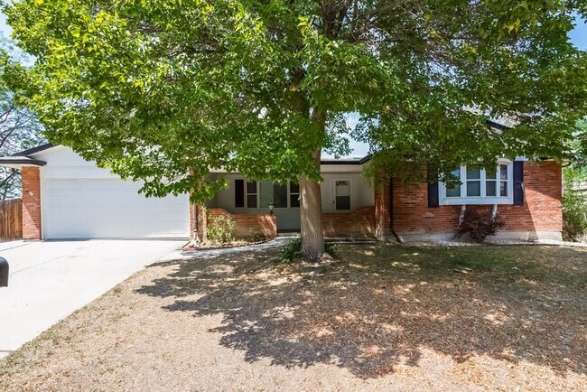 Building Photo - 641 Joplin St