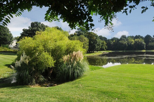 Views of Roswell Lake at Brookefield Apartments in Raleigh, NC - Brookefield Apartments