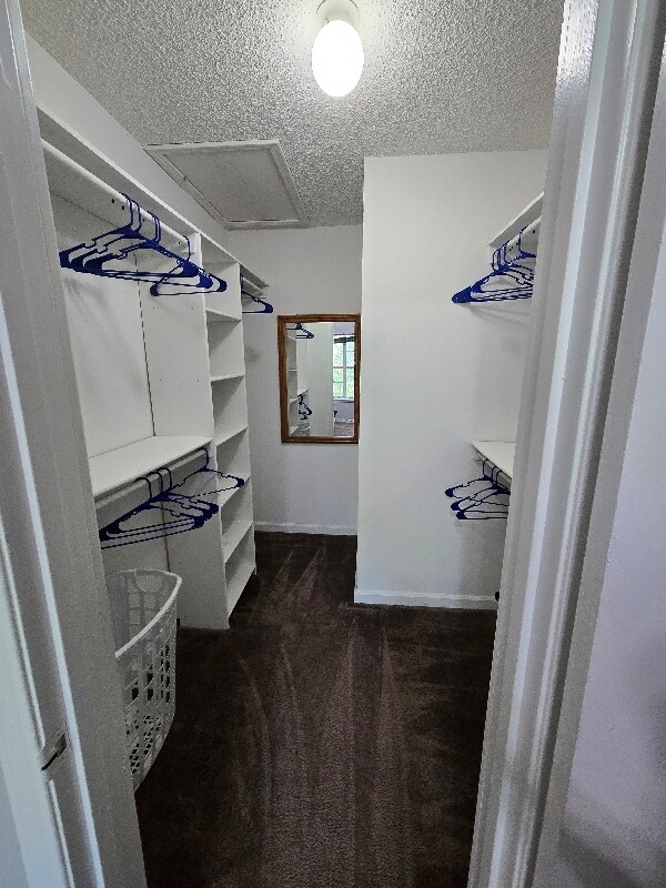 Foto del edificio - 2325 Parrot Ln