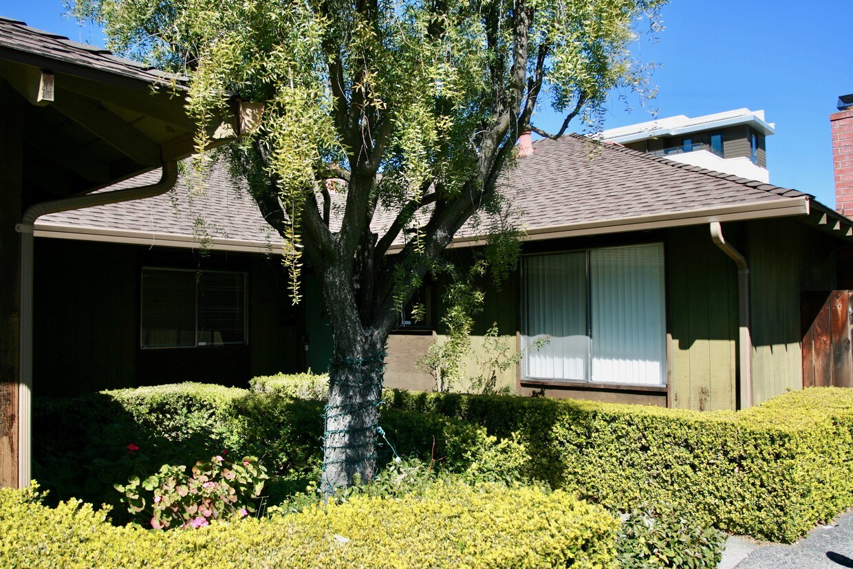 941 Miramonte Ave, Mountain View, CA 94040 House Rental in Mountain