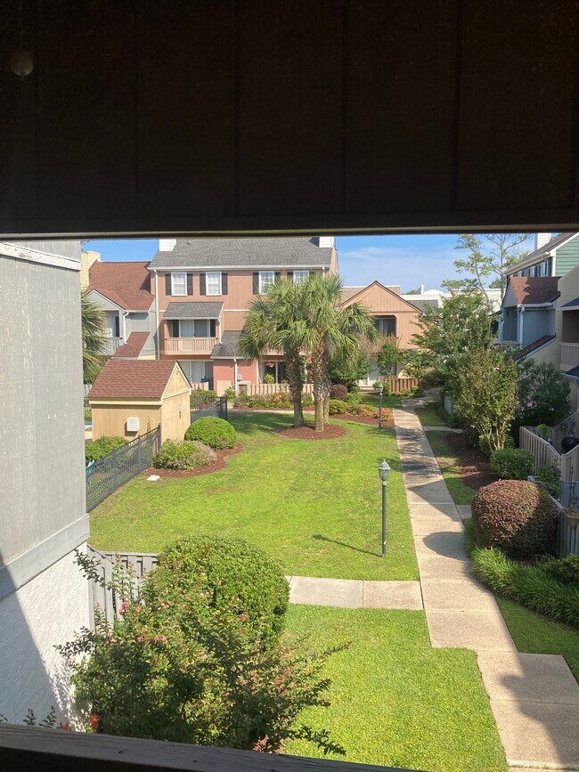 Courtyard view from sunny living areas - 501 44th Ave N