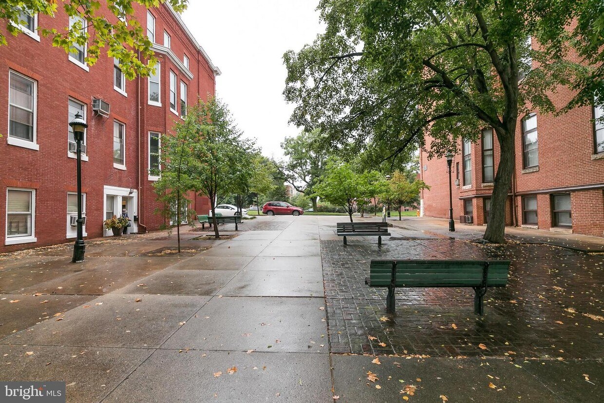 Primary Photo - 307 Mosher St