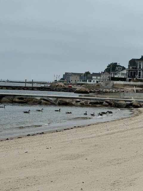 Building Photo - 46 Sea Crest Ave