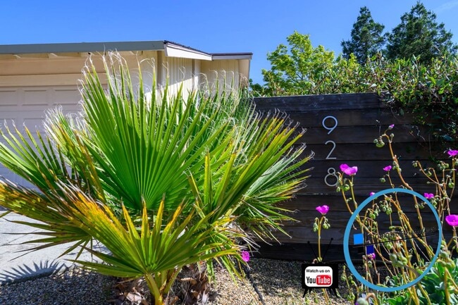 Foto del edificio - Benicia 1BD Garden Oasis