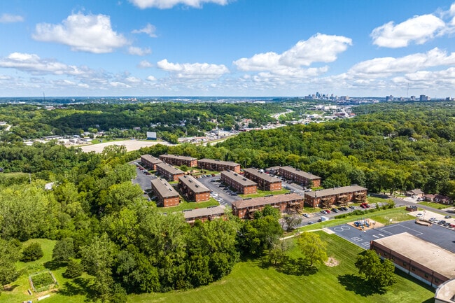 Sky view - Forest Court