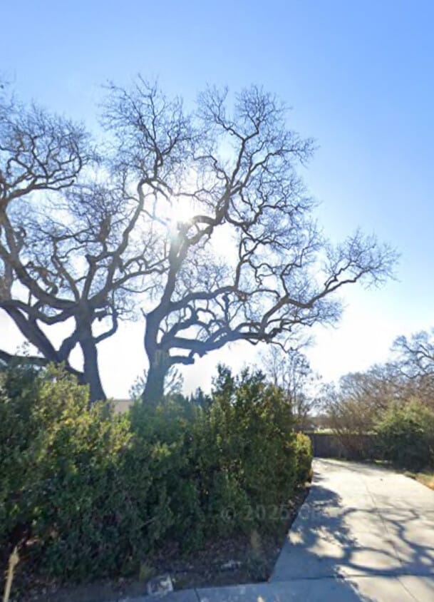 from the street - 1510 Plumas Ct