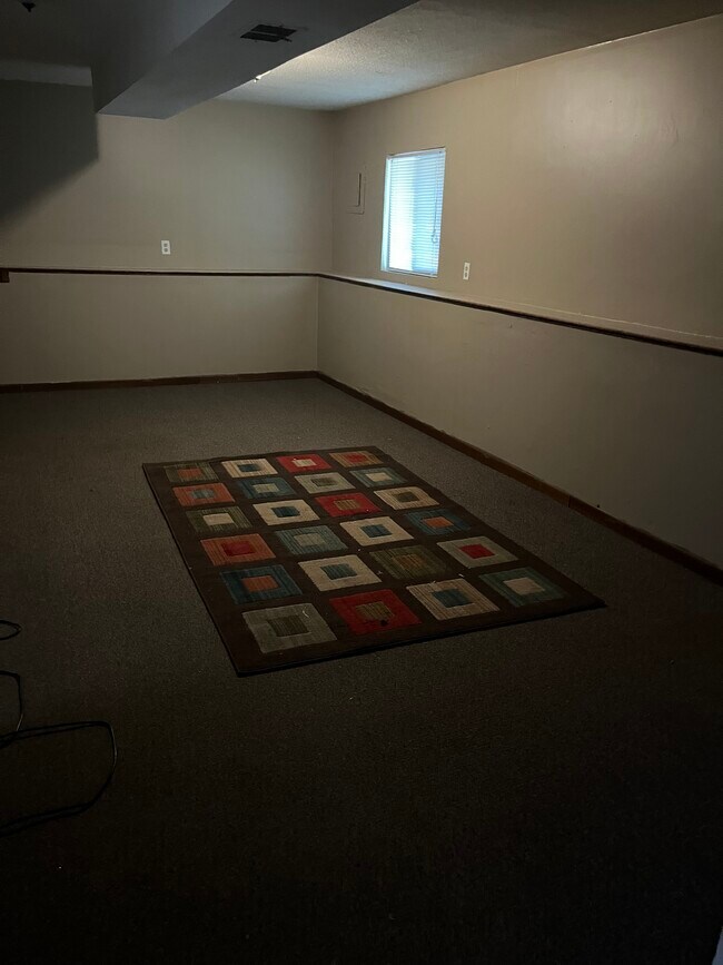 Lower level family room - 13049 Saratoga Ln N