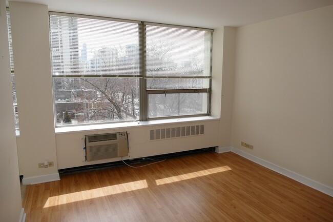 Building Photo - 1460 N Sandburg Terrace