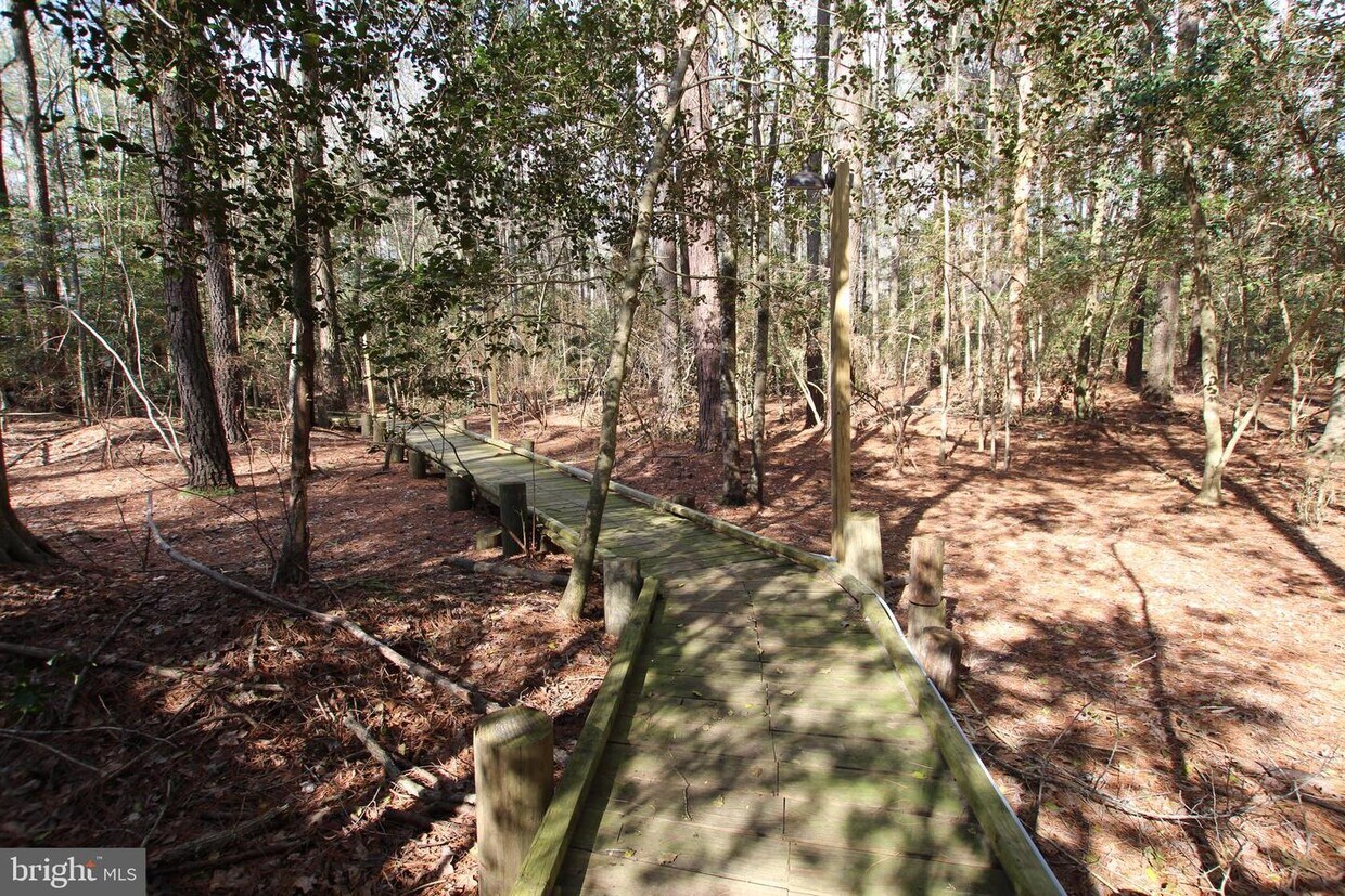 Primary Photo - 30363 Hollymount Rd