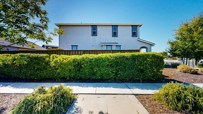 Foto del edificio - Rare Santa Rosa Four Bedroom house in Desi...