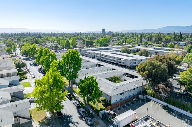 Aerial Photo - David Avenue