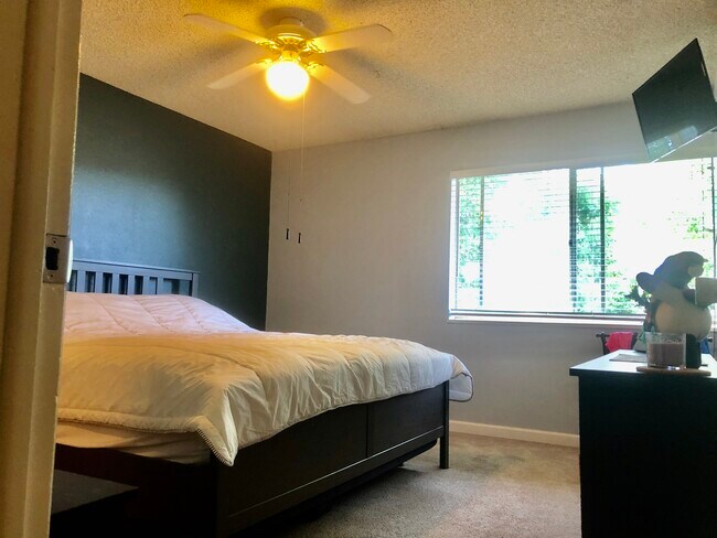 Building Photo - 5110 Williams Fork Trail 211