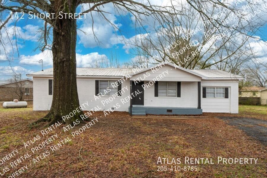 Primary Photo - 142 Short St