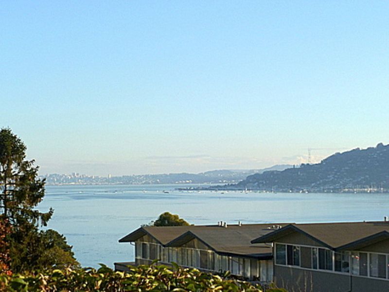 Foto principal - BEAUTIFUL TIBURON! QUIET 1BR/1BA Condo, En...