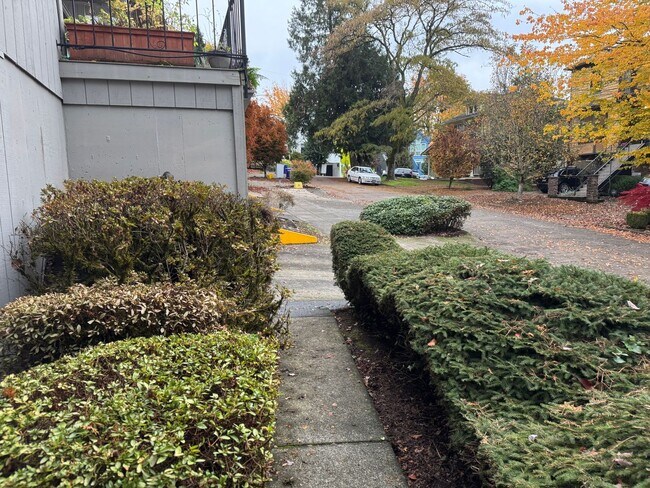 Foto del edificio - Spacious ground level 1br/1ba Apt with attached garage and washer/dryer in unit