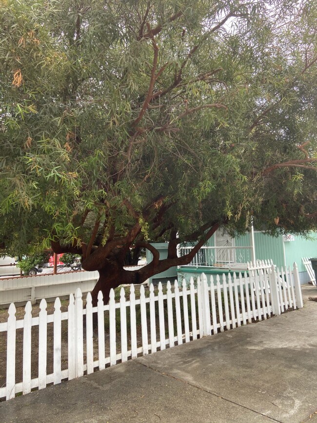 Foto del edificio - 26 Glenn St