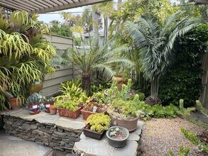 Building Photo - 34051 El Encanto Ave