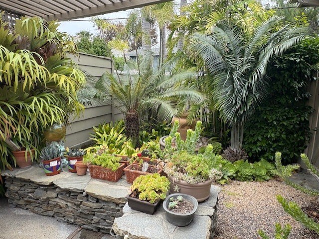 Primary Photo - 34051 El Encanto Ave