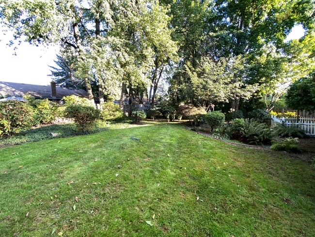 backyard - 1516 SE 51st Ave