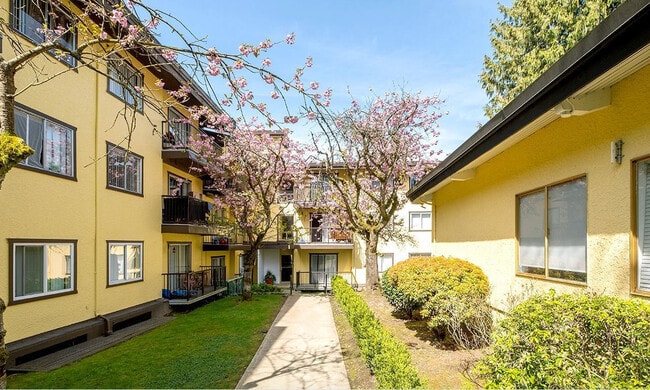 Building Photo - Mountain Park Residences
