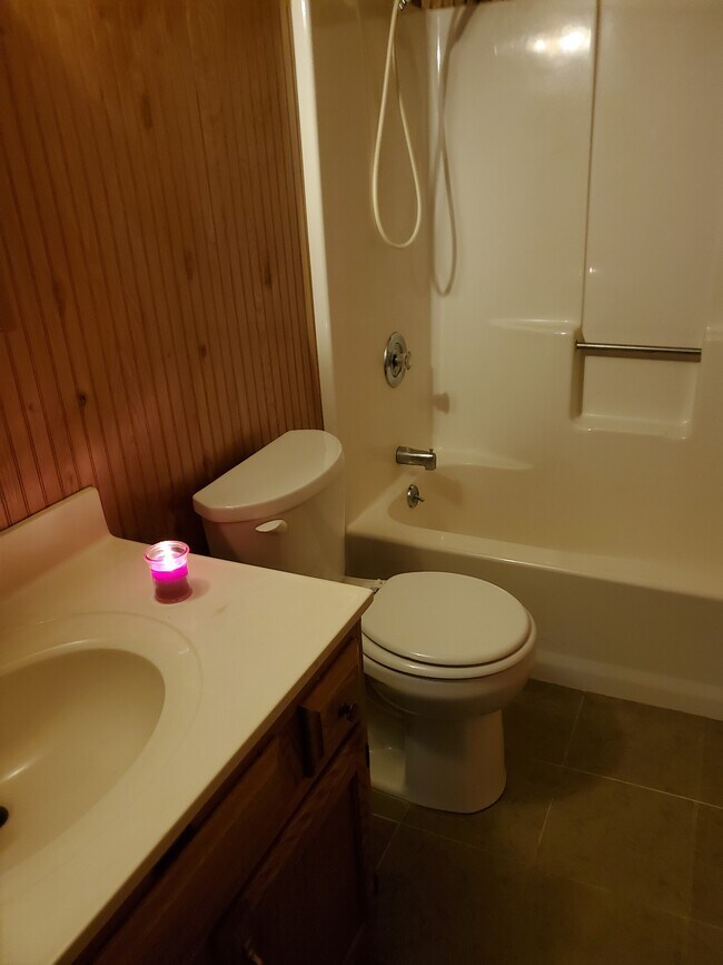 basement bathroom - 108 Jefferson Dr