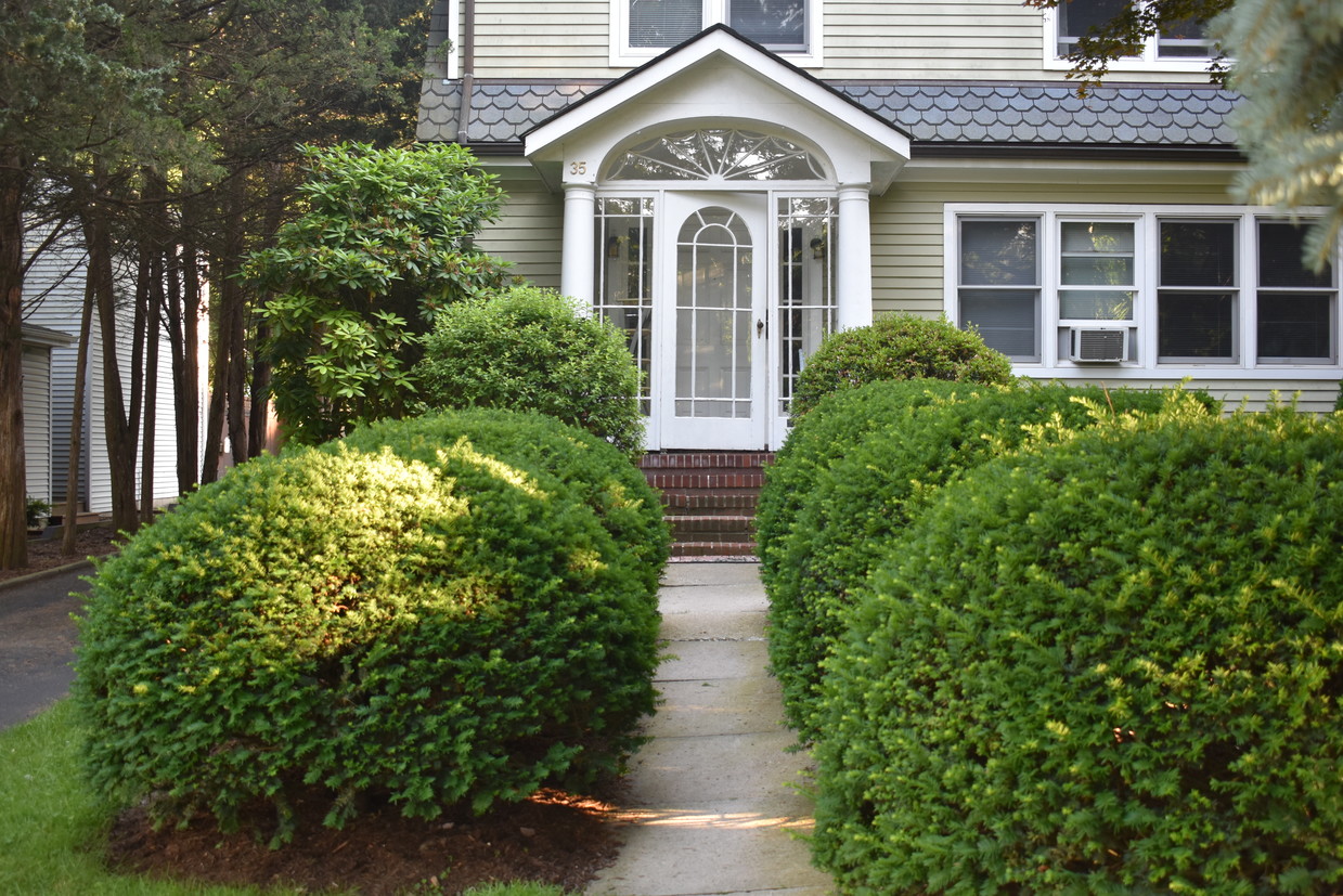 Primary Photo - 35 Lenox Ave
