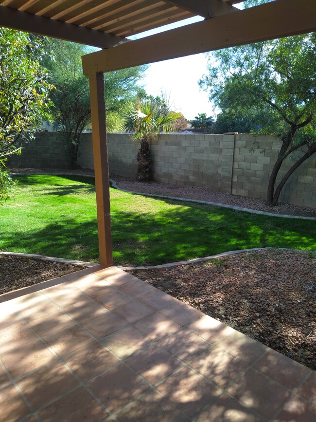 Rear yard from master porch - 1513 W Jacinto Ave