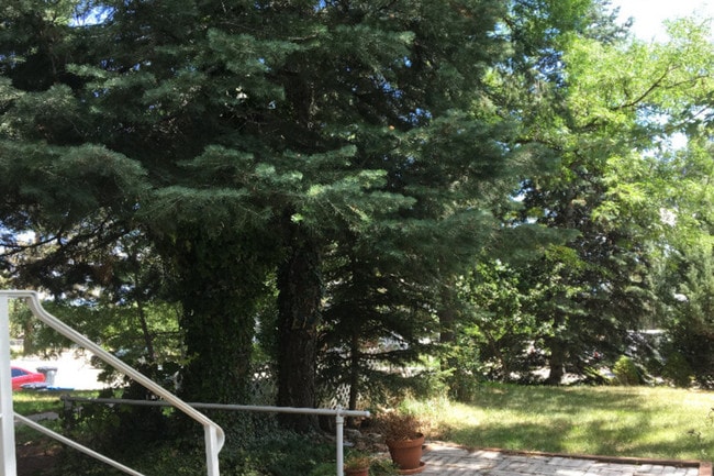 view to front yard - 2059 41st St