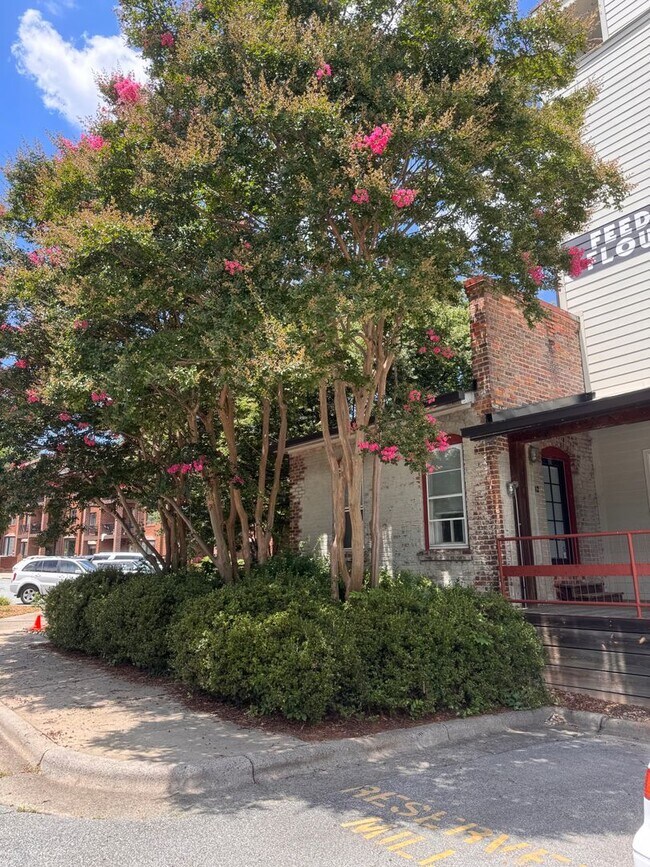 Building Photo - 1 Bedroom Unit in Historic Wafco Mills