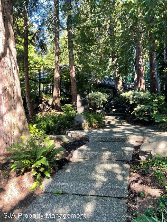 Building Photo - 1 br, 1 bath House - 1380 Bellevue Way NE  #6