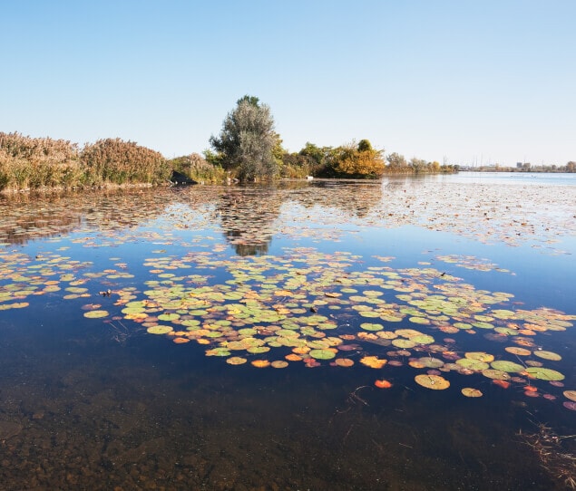 The William W. Powers State Recreation Area in Hegewisch